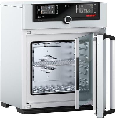 Incubator IN30, 32l, 20-80°C